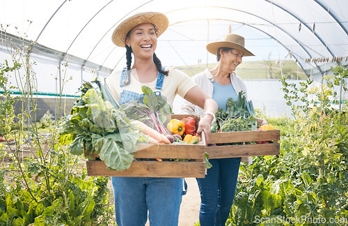 Image of Women, agriculture and vegetable farming teamwork in a greenhouse for harvest and sustainability. Happy farmer people together on a farm for supply chain, agro startup or organic food for wellness