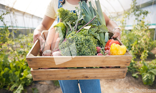 Image of Greenhouse, hands of woman with wooden box of vegetables and sustainable small business in agriculture. Girl at farm, natural food and agro growth in summer with organic beetroot, carrots and pepper.