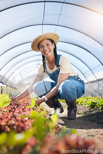 Image of Portrait, agriculture and a farmer woman in a greenhouse for sustainability, organic growth or farming. Plant, smile and a female farm worker in an agro environment in the countryside for gardening