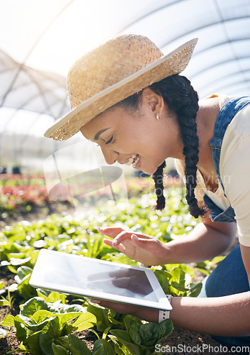 Image of Woman, farming or smile with tablet in greenhouse for agriculture, gardening lettuce and vegetables plants. Farmer, digital tech and agro app for food production, inspection and sustainable business