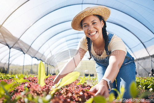 Image of Portrait, agriculture and a woman in a farm greenhouse for sustainability, organic growth or farming. Plant, smile and a female farmer working in an agro environment in the countryside for gardening