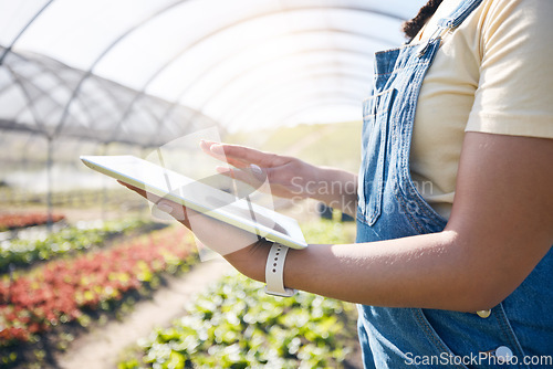 Image of Agriculture, farming and hands with a tablet in a greenhouse for plants, innovation and sustainability. A farmer person with technology for eco growth, agro business management or quality control app