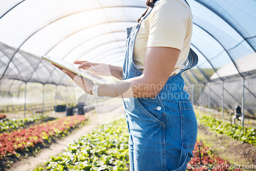 Image of Hands, farming and agriculture with a tablet in a greenhouse for plants, innovation and sustainability. A farmer person with technology for e commerce, agro business management or food production app