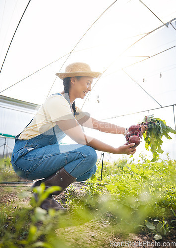 Image of Greenhouse, farming and happy woman with beetroot at sustainable small business in agriculture and organic food. Girl with smile working at agro farm, vegetable growth in garden and eco friendly job.