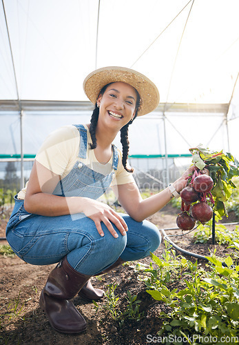 Image of Greenhouse, portrait of happy woman holding beetroot at sustainable small business in agriculture and organic food. Girl working at agro farm, vegetable growth in garden and eco friendly with smile.