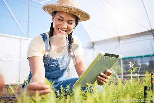 Image of Woman, agriculture and tablet for gardening herbs, plants and check growth in greenhouse. Happy farmer, digital tech or farming app for agro food production, leaf inspection and sustainable business