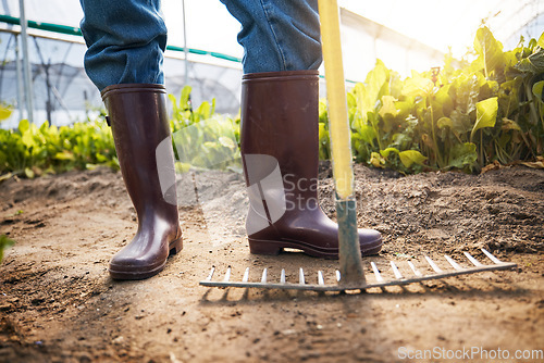 Image of Farm, rake and boots of farmer in a garden working on sustainable produce for organic agriculture or food. Closeup, vegetables and person harvest fresh product for agro nutrition in the countryside