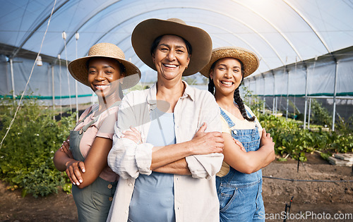 Image of Farming, portrait of group of women in greenhouse and sustainable small business in agriculture. Happy farmer team at vegetable farm, agro career growth and diversity with eco friendly organic plants