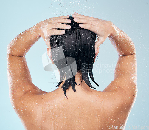 Image of Hair care, shower and back of woman cleaning in studio isolated on a blue background. Water splash, hygiene and model washing, bathing and cosmetics for wellness, beauty and body health in bathroom