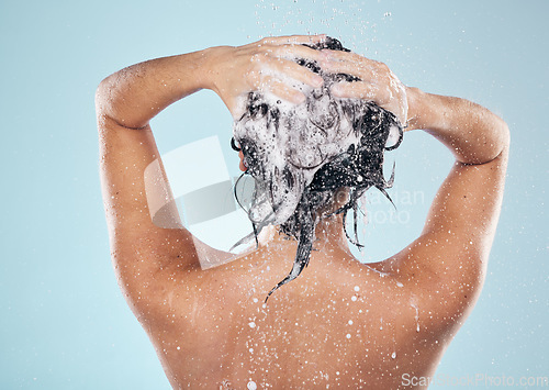 Image of Hair shampoo, cleaning and back of woman in shower in studio isolated on blue background. Water splash, hygiene and soap, foam or cosmetics of model washing, bath or wellness in body care in bathroom
