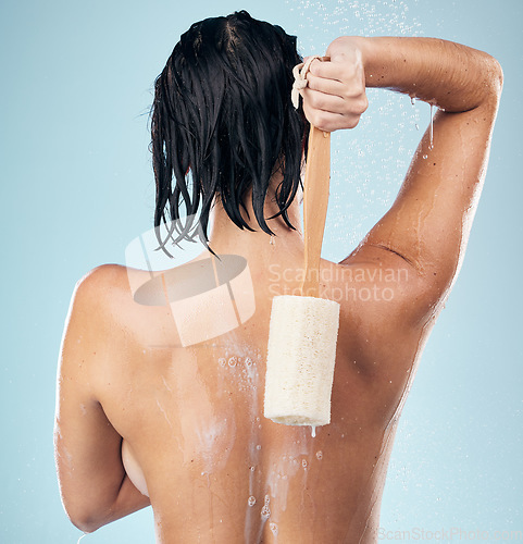 Image of Shower, back and woman with loofah in studio for body care, wellness and cleaning on blue background. Hygiene, skincare and behind female model with scrub in a bathroom for cosmetic treatment or wash