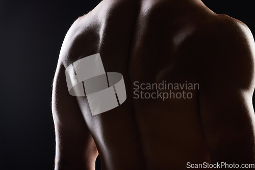 Image of Strong back, dark studio and person with ripped body, fitness transformation goals and muscle building results. Bodybuilder training exercise, shadow light and muscular athlete on black background