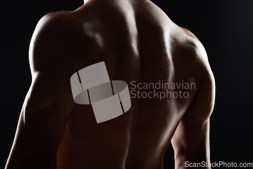 Image of Bodybuilder man, back and silhouette in studio, shadow and wellness with health, strong and black background. Model guy, muscle and shirtless for fitness with skin, aesthetic or power in dark for art