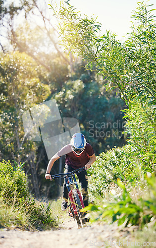 Image of Forest, race and man cycling in training for a race competition on biking path, trail or nature. Action, sports or fast cyclist athlete riding bicycle at speed for cardio exercise, fitness or workout