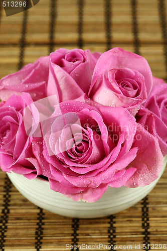 Image of Pink roses