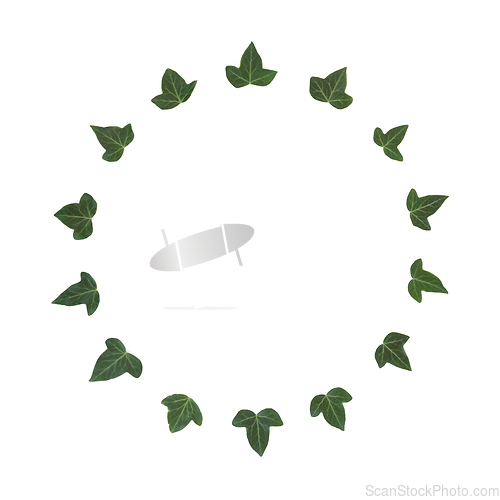 Image of Winter Ivy Leaf Wreath Minimal Design