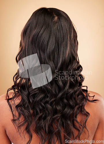 Image of Hair, woman and balayage, back with beauty and cosmetics, shampoo and salon treatment isolated on studio background. Texture, wellness and haircare, curly hairstyle and cosmetology with growth