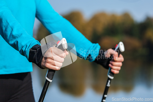 Image of Closeup of woman's hand with nordic walking poles