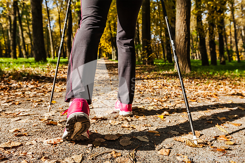 Image of Nordic walking