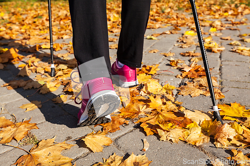 Image of Nordic walking