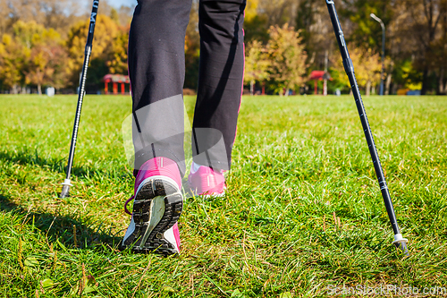 Image of Nordic walking