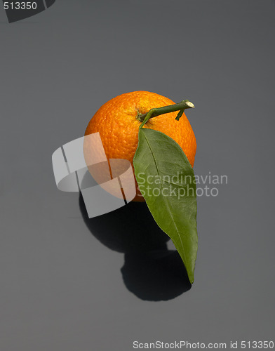 Image of Tangerine