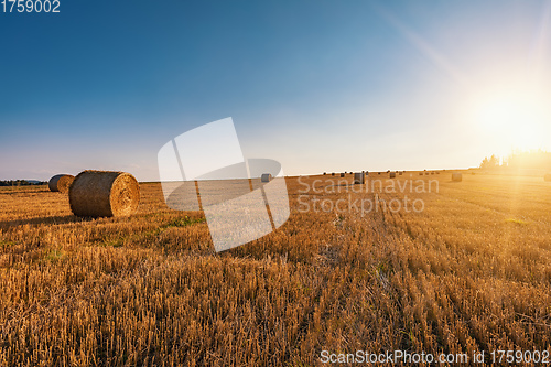 Image of Straw bales stacked in a field at summer time in sunset