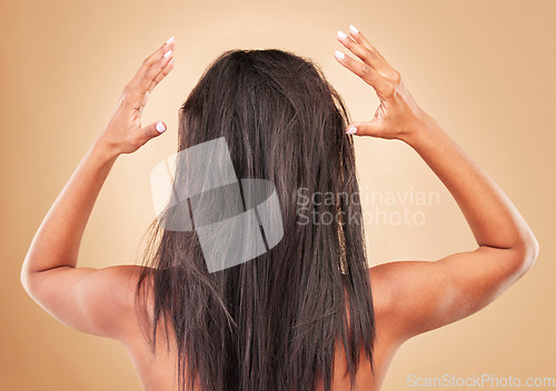 Image of Damaged, hair and back of messy woman in studio, background or haircare for tangled, brittle or frizzy hairstyle. Repair, beauty and person in salon or spa for treatment to restore healthy texture