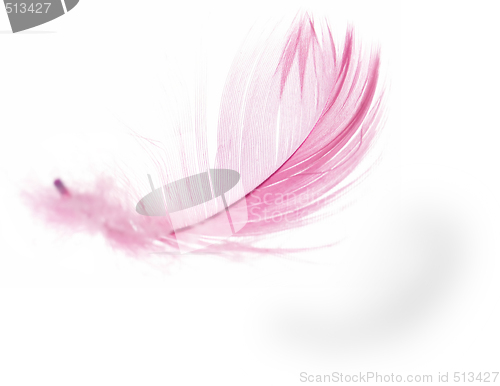 Image of Feather