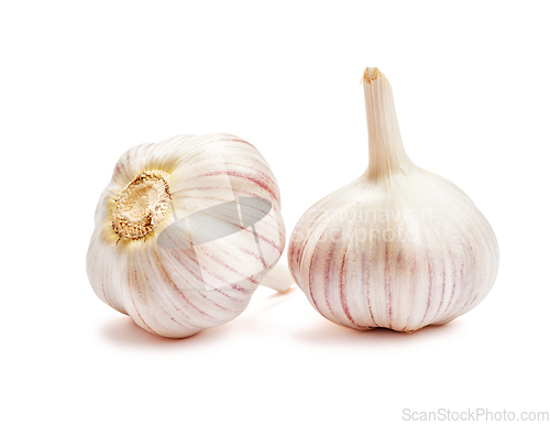 Image of Garlic isolated