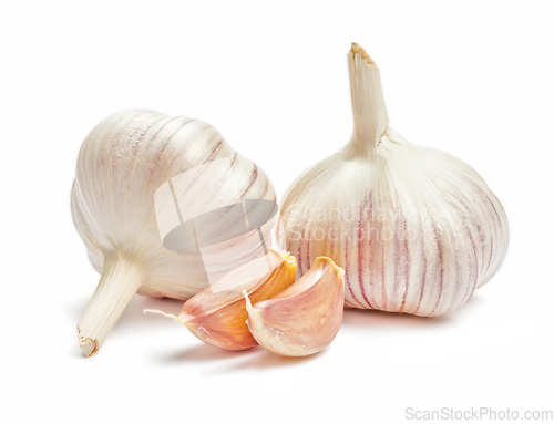 Image of Garlic isolated
