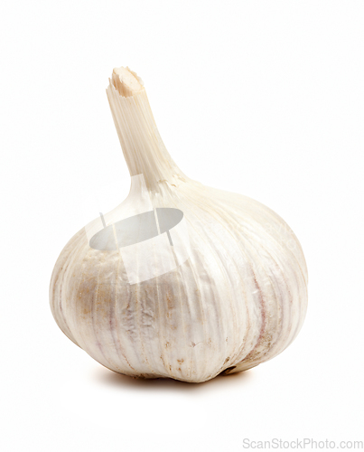 Image of Garlic isolated