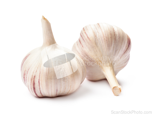 Image of Garlic isolated