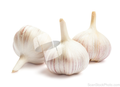 Image of Garlic isolated