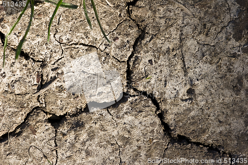 Image of dried earth texture