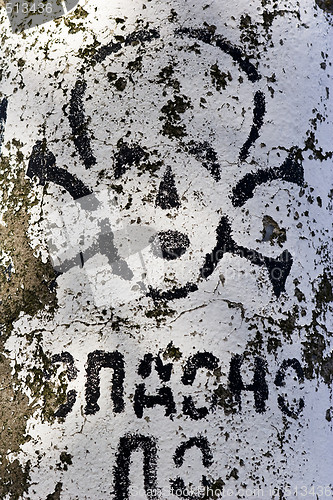 Image of skull and crossbones danger sign