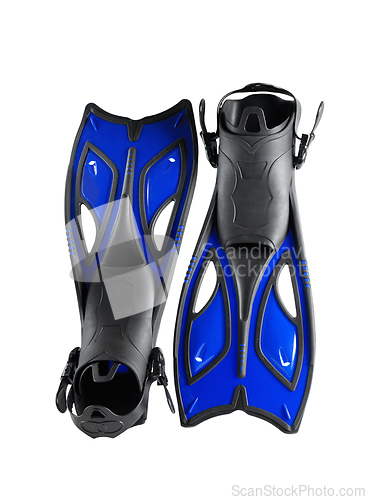 Image of Black blue fins.