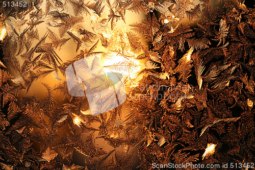 Image of Ice roses