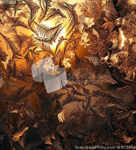 Image of Ice roses