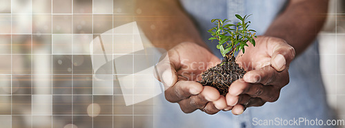 Image of Soil, overlay and hands of business person for investment, agriculture and economy. Health, profit and future with closeup of employee and plant on banner for hope, sustainability and earth day