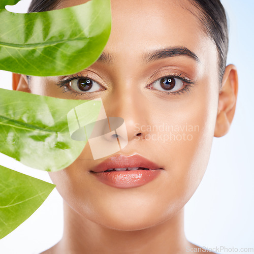 Image of Woman with palm leaf, face and natural beauty with sustainable skincare isolated on white background. Wellness, skin glow and eco friendly cosmetics with green product, nature and portrait in studio