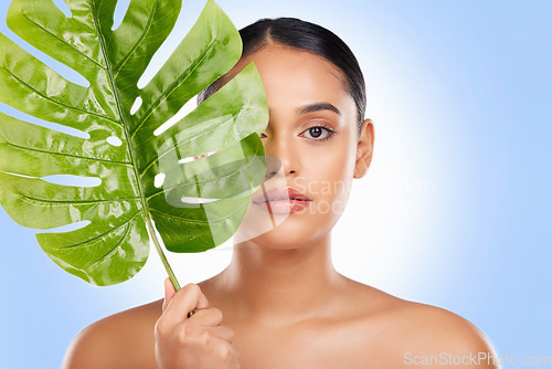 Image of Woman with palm leaf, portrait and natural beauty with sustainable skincare isolated on white background. Wellness, skin glow and eco friendly cosmetics with green product, nature and face in studio
