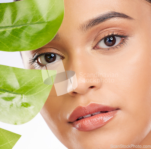 Image of Woman, portrait and plants for natural skincare, cosmetics and facial beauty on a white background. Person with green leaf for eco friendly and vegan dermatology, makeup and face skin care in studio