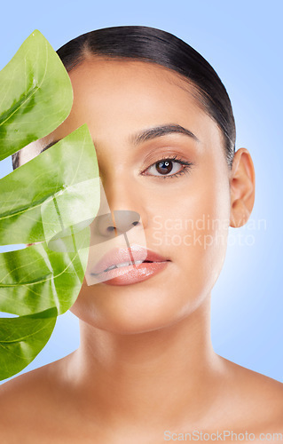 Image of Palm leaf, woman face and natural beauty, sustainable skincare and cosmetics isolated on blue background. Wellness, skin glow and eco friendly product with portrait, dermatology and green in studio