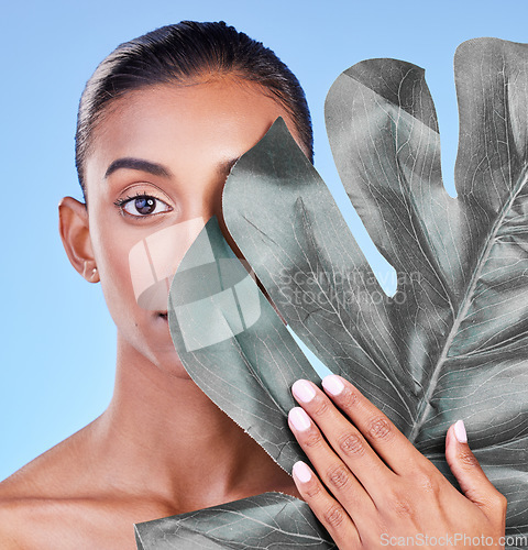 Image of Beauty, leaf and portrait of woman in studio for eco friendly, wellness or cosmetics on blue background. Monstera, face and Indian female with natural dermatology, skincare or organic facial care