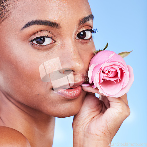 Image of Rose, face portrait and skincare of woman in studio for eco cosmetics, natural wellness or blue background. Indian model, flowers or shine of vegan beauty, sustainable dermatology or floral aesthetic