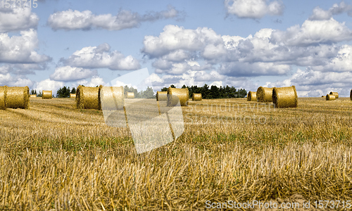 Image of agricultural field after harvesting