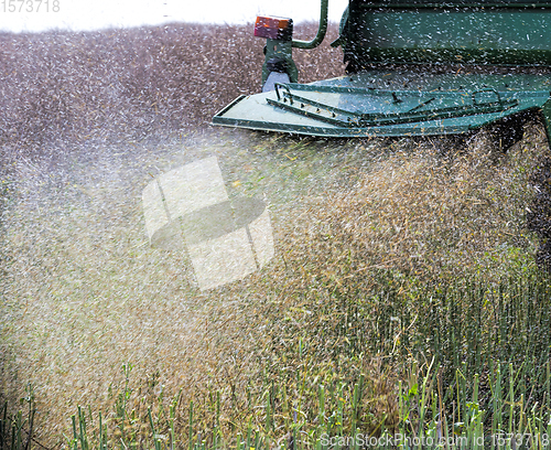 Image of agricultural field