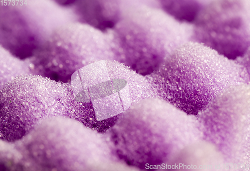 Image of purple sponges