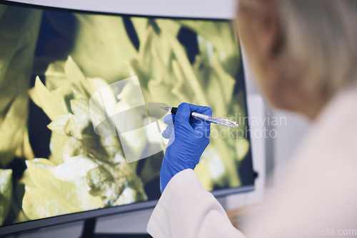 Image of Science, hand and computer monitor in a laboratory for research, innovation or sustainability. Technology, future and ecology with a scientist in a lab to study biology or plant life closeup